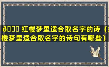 🐈 红楼梦里适合取名字的诗（红楼梦里适合取名字的诗句有哪些）